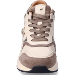 Sneakers Donna Guardiani 4341 Sand/Gold